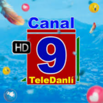 Logo TeleDanli Canal 9