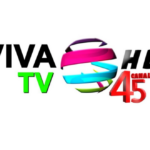 Logo Viva Tv Canal 45